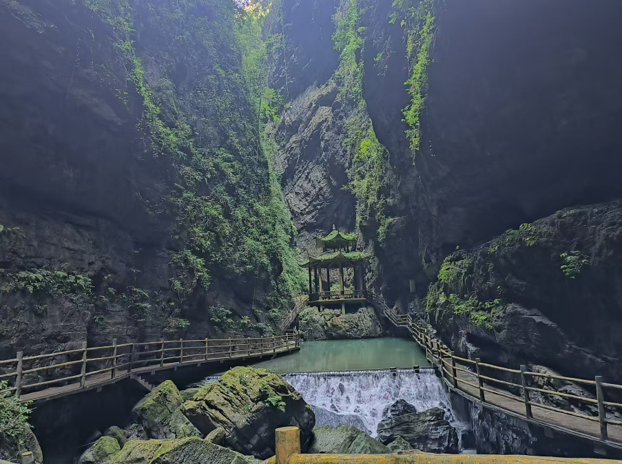 金种源大家庭-麻辣烫之旅